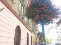 Eladó téglalakás, XIII. kerületben 75 M Ft, 1+1 szobás