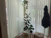 Eladó családi ház, Hőgyészen 42.9 M Ft, 4 szobás