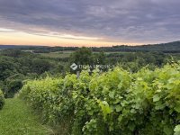 Eladó telek, Kőszegdoroszlón 10.5 M Ft / költözzbe.hu