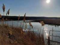 Eladó mezogazdasagi ingatlan