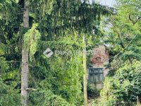 Eladó családi ház, Piliscsabán 120 M Ft, 3 szobás