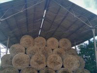 Eladó mezogazdasagi ingatlan