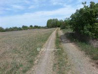 Eladó telek, Kecskeméten 3.9 M Ft / költözzbe.hu