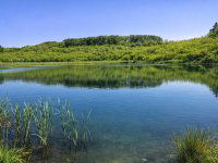 Eladó mezogazdasagi ingatlan, Pécsett, Rücker-akna 200 M Ft