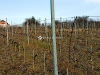 Eladó telek, Pázmándon 23.9 M Ft / költözzbe.hu