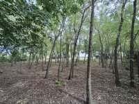 Eladó családi ház, Cegléden 56.5 M Ft, 2 szobás