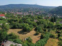 Eladó telek, Pécsett, Sáska dűlőn 8 M Ft / költözzbe.hu