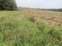 Eladó ipari ingatlan, Alsónémediben 918.64 M Ft