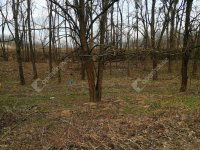 Eladó telek, Nagykapornakon 3.4 M Ft / költözzbe.hu