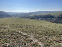 Eladó mezogazdasagi ingatlan