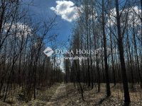 Eladó mezogazdasagi ingatlan, Dabason 120 M Ft