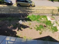 Eladó családi ház, Leányfaluban 43 M Ft, 4 szobás