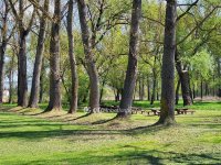 Eladó családi ház, Tengődön 33 M Ft, 4 szobás