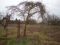 Eladó telek, Nyíregyházán 18 M Ft / költözzbe.hu