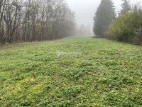 Eladó telek, Zalaegerszegen 5.5 M Ft / költözzbe.hu
