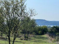 Eladó mezogazdasagi ingatlan