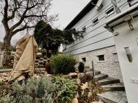 Kiadó családi ház, albérlet