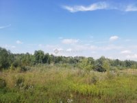 Eladó ipari ingatlan, Dunaalmáson 50.673 M Ft