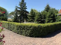 Eladó családi ház, Balatonfenyvesen 199 M Ft, 5 szobás