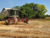 Eladó mezogazdasagi ingatlan, Felgyőn 24 M Ft