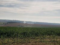 Eladó telek, Pécelen 63 M Ft / költözzbe.hu