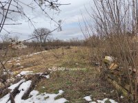 Eladó családi ház, Villányban 32 M Ft, 7 szobás
