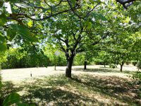 Eladó mezogazdasagi ingatlan, Lovasberényben 134.7 M Ft, 4 szobás