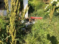 Eladó családi ház, Dunaszekcsőn 5.5 M Ft, 1 szobás