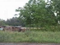 Eladó telek, Tápiószentmártonon 8.6 M Ft / költözzbe.hu