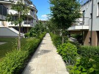 Kiadó téglalakás, albérlet, III. kerületben, Pusztakúti úton