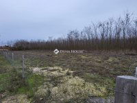 Eladó telek, Dabason 15 M Ft / költözzbe.hu