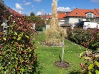 Eladó ikerház, Cserszegtomajon, Zalán utcában 110.625 M Ft