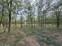 Eladó mezogazdasagi ingatlan, Kunadacson 39 M Ft, 4 szobás