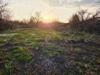 Eladó telek, Székesfehérvárott 42 M Ft / költözzbe.hu