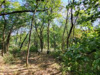 Eladó telek, Siófokon 39 M Ft / költözzbe.hu