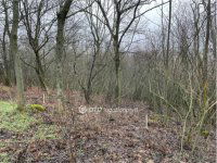 Eladó telek, Tahitótfalun 8 M Ft / költözzbe.hu