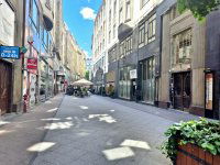 Kiadó üzlethelyiség, V. kerületben 300 E Ft / hó