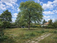 Eladó telek, Gárdonyban 35 M Ft / költözzbe.hu