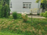 Eladó családi ház, Gerdén 25 M Ft, 3 szobás