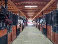 Eladó mezogazdasagi ingatlan, Nyíregyházán 179.999 M Ft