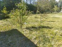 Eladó családi ház, Bodajkon 28 M Ft, 3 szobás