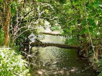 Eladó családi ház, Vilonyán 350 M Ft, 3 szobás