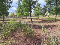 Eladó telek, Veszprémben 48.722 M Ft / költözzbe.hu