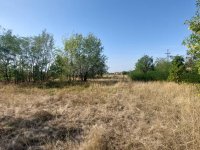 Eladó mezogazdasagi ingatlan, Gyömrőn 20 M Ft