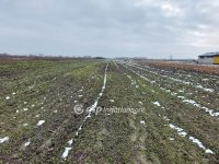 Eladó telek, Tiszakécskén 2.3 M Ft / költözzbe.hu