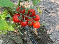 Eladó telek, Bőnyön 9.9 M Ft / költözzbe.hu