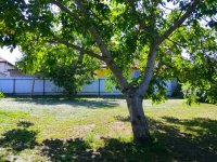 Eladó családi ház, Zamárdiban 65.5 M Ft, 2 szobás