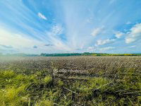 Eladó telek, Debrecenben 34.9 M Ft / költözzbe.hu