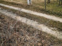 Eladó telek, Nagykapornakon 1.95 M Ft / költözzbe.hu