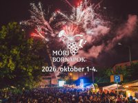 Kiadó családi ház, albérlet, Móron 15 E Ft / hó, 2 szobás